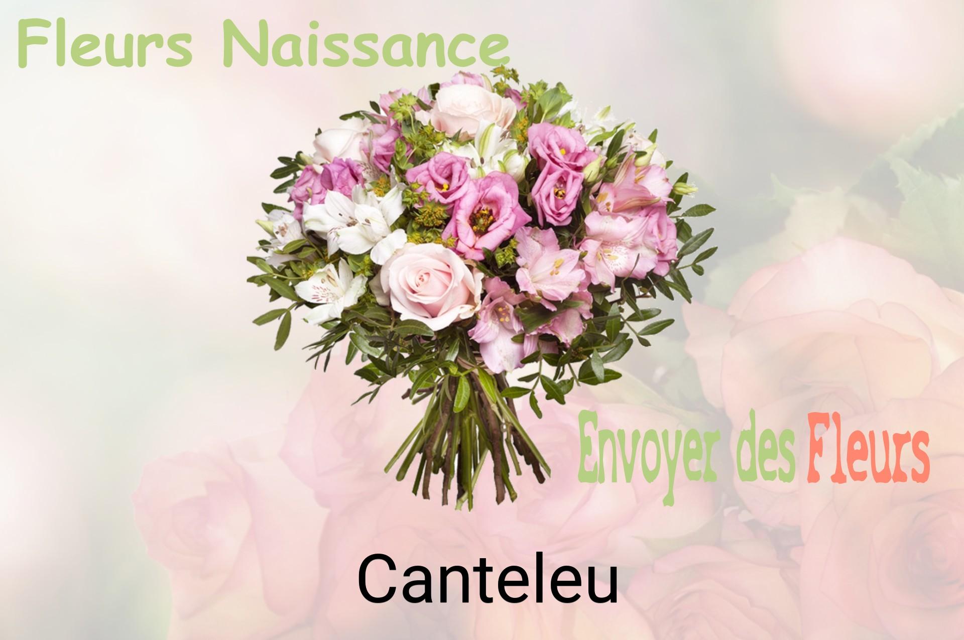 Bouquet de fleurs de naissance livré à Canteleu